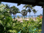 Вид из отеля на острове Пхукет